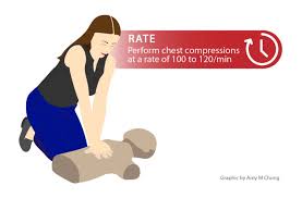 Image result for Chest Compressions