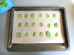 Schnittlauch kann man sowohl trocknen als auch einfrieren. Pfefferminze Trocknen So Geht S Richtig Lecker