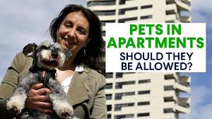 People have done it since vacation was invented. Should Pets Be Allowed In Apartment Buildings The Sydney Unit Owners Locked In A Legal Battle