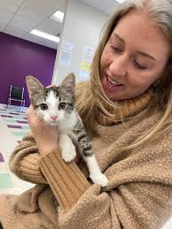 Adopted pup settles in with new brother