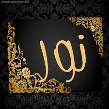 نظام نور الالكتروني حيث انه يوفر امكانية تسجيل الطلاب للصف الاول الابتدائى التسجيل عبر نظام نور لـ رياض الاطفال، استعلام عن نتائج الطلاب عبر نظام نور. Meaningnames Net Write 7 D9 86 D9 88 D8 B1 Png