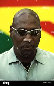 Viv hi-res stock photography and images