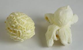 What S The Difference Between Mushroom And Butterfly Popcorn Cornpopper Ca