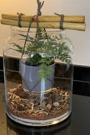 Pin Von Maria Bulejkova Auf Deko In 2020 Miniaturgarten Mini Garten Terrarienpflanzen