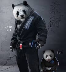 Black belt men's and women's recap from the 2009 world brazilian jiu jitsu championships from the walter pyramid in long beach california.features. Panda Jiu Jitsu 750x816 Wallpaper Teahub Io