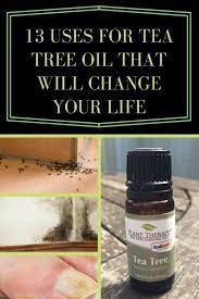 13 Uses For Tea Tree Oil That Will Change Your Life Tea Tree Essential Oil Tea Tree Oil Uses Tree Oil