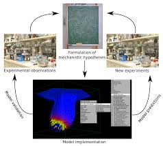 Modeling human goal inference as inverse planning in real scenes. Embryomaker A General Modeling Framework To Simulate Developing Systems And Perform Experiments In Silico The Node