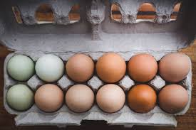 Questa spesso capita di consumare cibi scaduti: Mangiare Uova Scadute Le Conseguenze E Il Rischio Salmonella Ecoblog