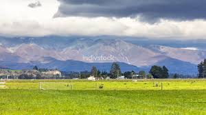 Download the perfect new zealand landscape pictures. Landscape Scenery In South New Zealand Landscape Indivstock