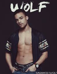 Beaux Banks Mens Tshirts Mens Tops Mens Graphic