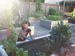Perfectly manicured raised beds built from prefab kits may look like a million dollars, but they don't increase the value of your vegetables. Raised Garden Bed Ideas Four Options For Frugal Gardening