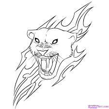 Learn How To Draw A Jaguar Rainforest Animals Animals Free Step By Step Drawing Lessons For Kids Add Animal Drawings Cool Pictures To Draw Pictures To Draw