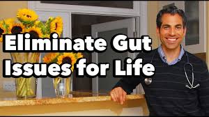 His interest in yoga and medicinal acupuncture led him to the discovery of now that i shared my thoughts on my dr. Bacteria In Your Gut Weight Loss Vincent Pedre Md