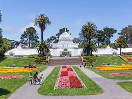 We did not find results for: Inside San Francisco Golden Gate Park S Conservatory Of Flowers Curbed Sf