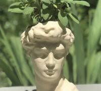 david head planter" 3D Models to Print