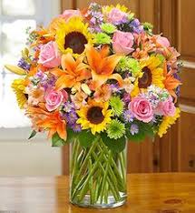 Whether you send gift baskets to europe, fresh flowers to asia, or plants to south america, your overseas recipient will love. 15 1 800 Pro Flowers Likes Ideas Flowers Pro Flower 800 Flowers