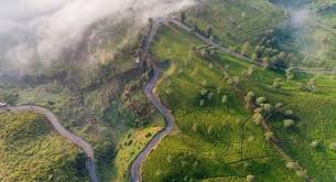 Kebun teh cipasung selain memiliki hamparan kebun teh yang luas dan udaranya masih sejuk sehingga tidak kalah indahnya dengan kebun teh di lembang bandung maupun puncak bogor menjadi salah satu daya tarik para wisatawan baik lokal maupun dari luar kota bahkan sekarang. 17 Tempat Wisata Di Pangalengan Yang Wajib Dikunjungi