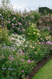 Combine shrub roses, other shrubs, perennials and annuals sarah price landscapes is a specialist landscape and garden design consultancy. 11 Rose Border Garden Ideas Garden Flower Garden Garden Design