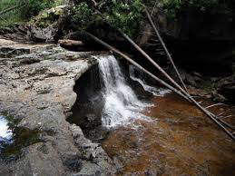 Earn free travel rewards with orbitz. Forks Of Red Creek Hike