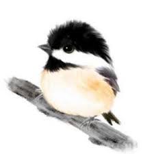 nelda bishop (bishop6972)