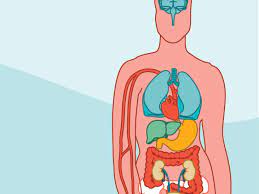 We did not find results for: How To Take Viagra With Water Or Milk Plus Other Tips