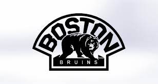 Boston bruins and jetblue unveil bear force one at logan airport. Boston Bruins Bear Logo Laser Etch Stainless Steel 3d Cad Model Library Grabcad