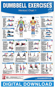 digital dumbbell workout chart 1 and 2 productive fitness