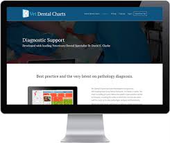 Vet Dental Charts On Behance