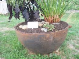 Planting Trees In Large Flower Pots Front Yard Landscaping Ideas Large Flower Pots Trees To Plant Flower Pots