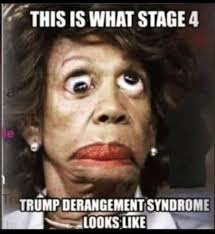 Percentages of forest-cover in all US states. Five MOST-Forested: 1. Maine  2. New Hampshire 3. West Virginia 4. Vermont 5. Alabama Five  LEAST-Forested: 50. North Dakota 49. Nebraska 48. South Dakota 47.