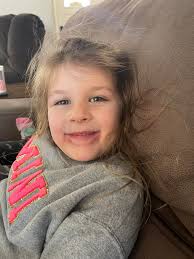 Chiweenie dogs making funny faces