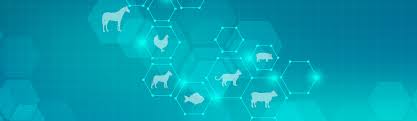 Wir investieren in digital health startups und sind immer auf der suche nach. Animal Health Ventures Corporate Home Page Msd Animal Health