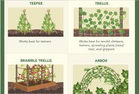 Which Gardening Support Trellis Works Homesteading The Homestead Survival Com Teepee Trellis Trellis Homestead Survival