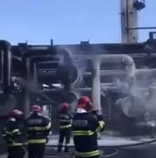 Check spelling or type a new query. CernavodÄƒ Dosar Penal Pentru Ucidere Din CulpÄƒ In Urma Profit Ro