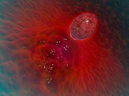 Puedo Quedar Embarazada Durante La Menstruacion