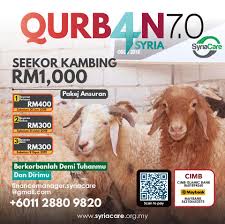 Ditanya mengapa baru membuat laporan itu meskipun perkara itu sudah berlaku. Qurban4syria 7 0 2019 Syria Care