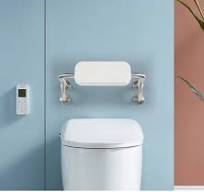 Matte Black Stainless Steel Disabled Toilet Backrest for ...