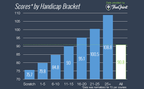 2016 Report Overall Golfer Performance By Handicap