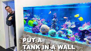 How to make a coral aquarium. How To Build A Reef Tank Into A Wall Saltwater Aquarium Not Easy Youtube