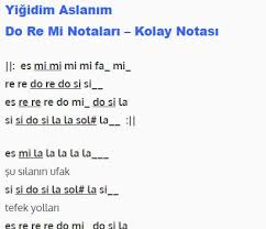 Yigidim Aslanim Do Re Mi Notalari Kolay Notasi Melodika Keman Org Piyano Flut Nota Flut Muzik Notalari Notalara Dokulmus Muzik