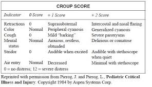 Image result for Croup Score