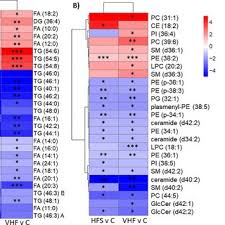 Heat-map of significant glycerophospholipids, fatty acids and...