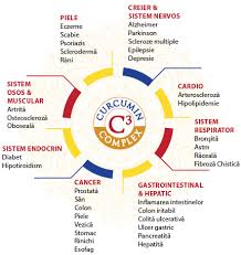 Maybe you would like to learn more about one of these? Curcumin95 C3 Complex Herbagetica