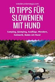 10 Tipps Fur Slowenien Mit Hund Wiederunterwegs Com Hund Reisen Slowenien Slowenien Urlaub