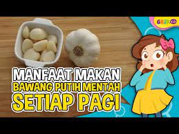 Bawang putih dikenal di seluruh dunia kerana manfaatnya membantu banyak orang sakit. Manfaat Tersembunyi Jika Rutin Makan Bawang Putih Mentah Fakta Menarik Youtube