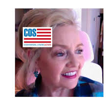 What do you think about the potential for a stolen election?