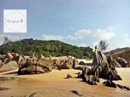 Sekiranya anda ingin berkunjung ke zoo ini, location zoo kemaman: Pantai Unik Dan Cantik Di Kemaman Terengganu Husniey Husain