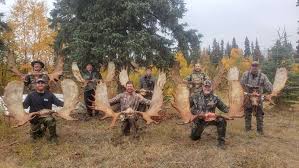Maybe you would like to learn more about one of these? Guided Alaska Moose Hunt Huge Alaska Trophy Moose 2021