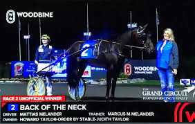 madelene melander (@madelenemeland1)