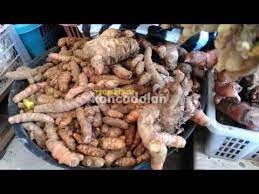Banyak sekali manfaat yang ditemukan pada tanaman serai ini. Jahe Daun Jeruk Serai Bumbu Redang B Putih B Merah Cabe Merah Jahe Lengkuas Serai Atau Yang Dikenal Dengan Sereh Memiliki Aroma Khas Yang Menimbulkan Efek Menenangkan Sekaligus Membalikkan Cara